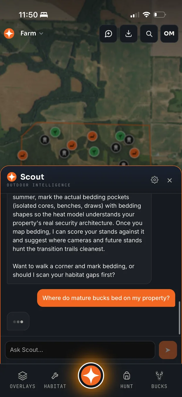 Scout, the Contors AI hunting assistant, answering where mature bucks bed on your property